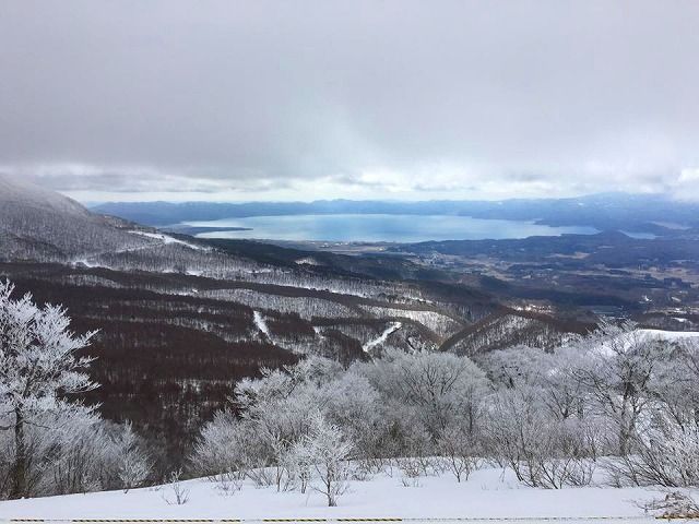 12799398_981084535308239_1300398997354527395_n