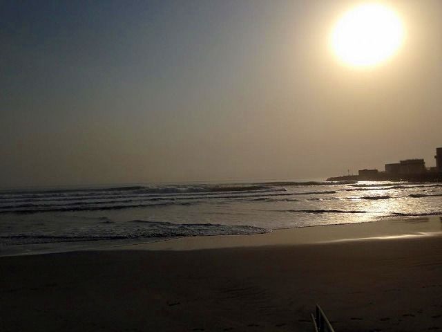 11084265_800009876749040_766459989309352520_n