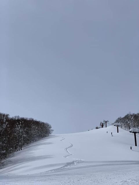 80E9A09A-565F-498B-AB44-DABF93B0C650