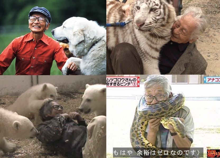 衝撃 ムツゴロウさんが動物に飽きていた事が判明 動物愛ふーっとなくなった 2chのハイセンスなレスをまとめたブログ 衝撃 ムツゴロウさんが動物に飽きていた事が判明 動物愛ふーっとなくなった 2chのハイセンスなレスをまとめたブログ
