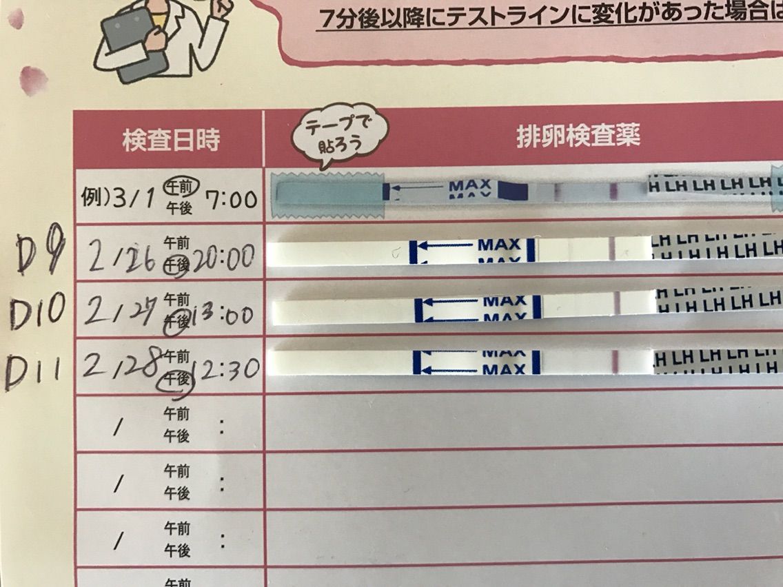 ドクターズ チョイス ワン ステップ 排卵 検査 薬 クリア