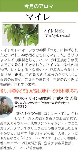 アロマサウナ(マイレ)