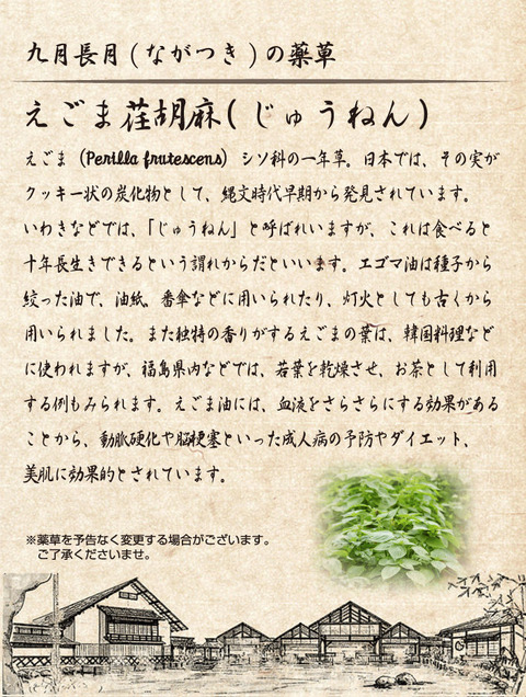 じゅうねん