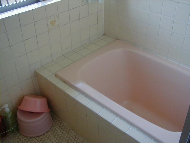 究極の湯治 最も新鮮な温泉で スパリゾートハワイアンズ ブログ