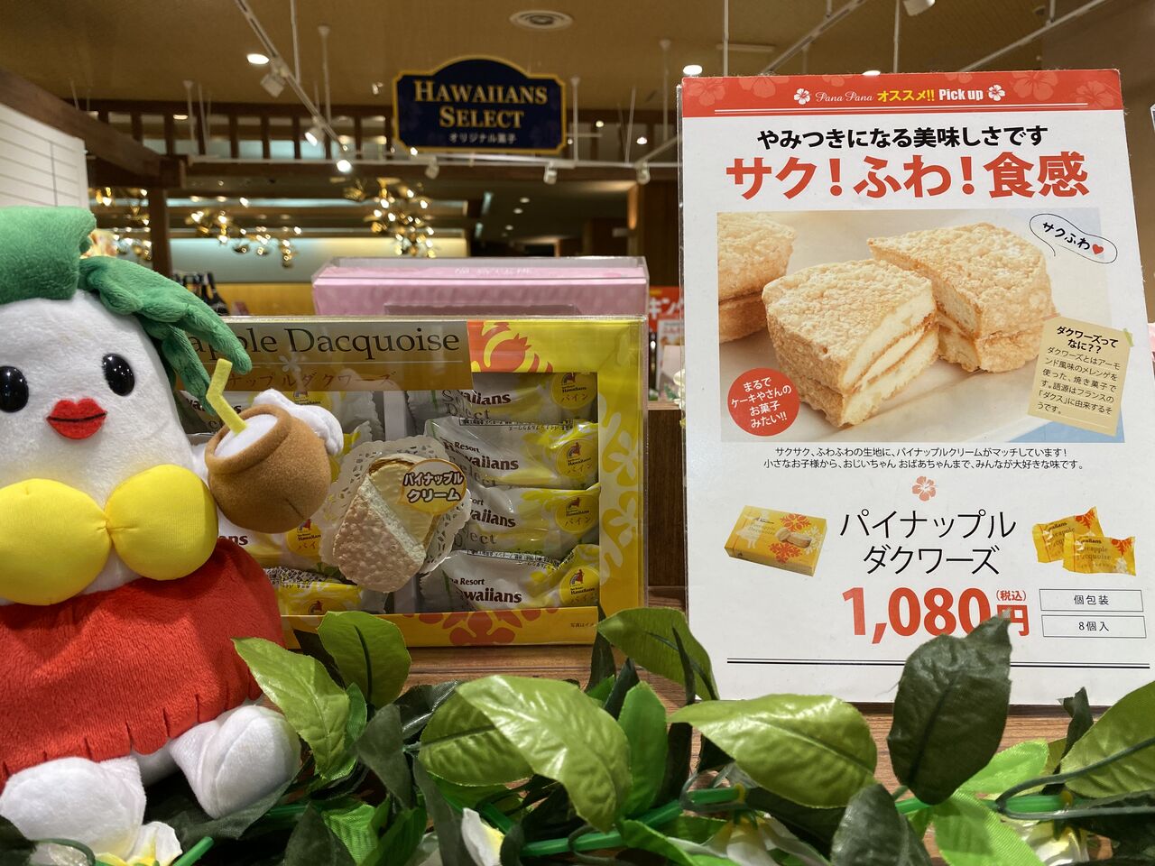 IMG-2351