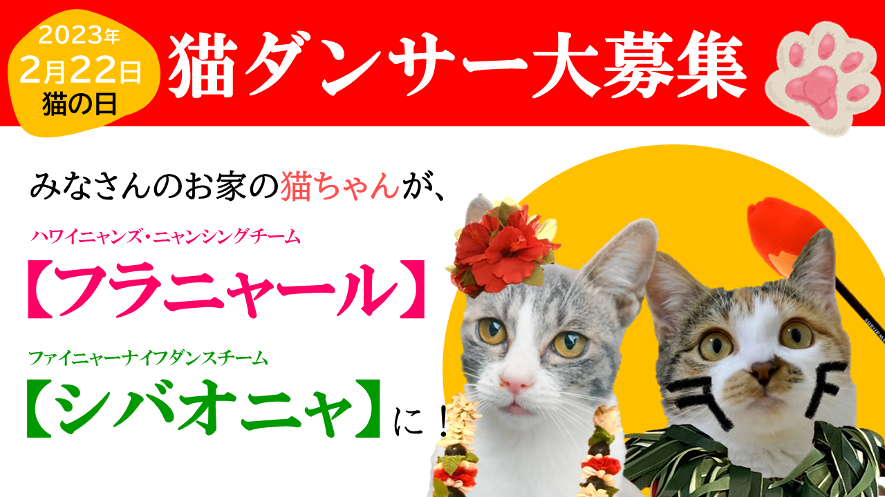猫の日企画』猫ダンサー大募集 : スパリゾートハワイアンズ・ブログ