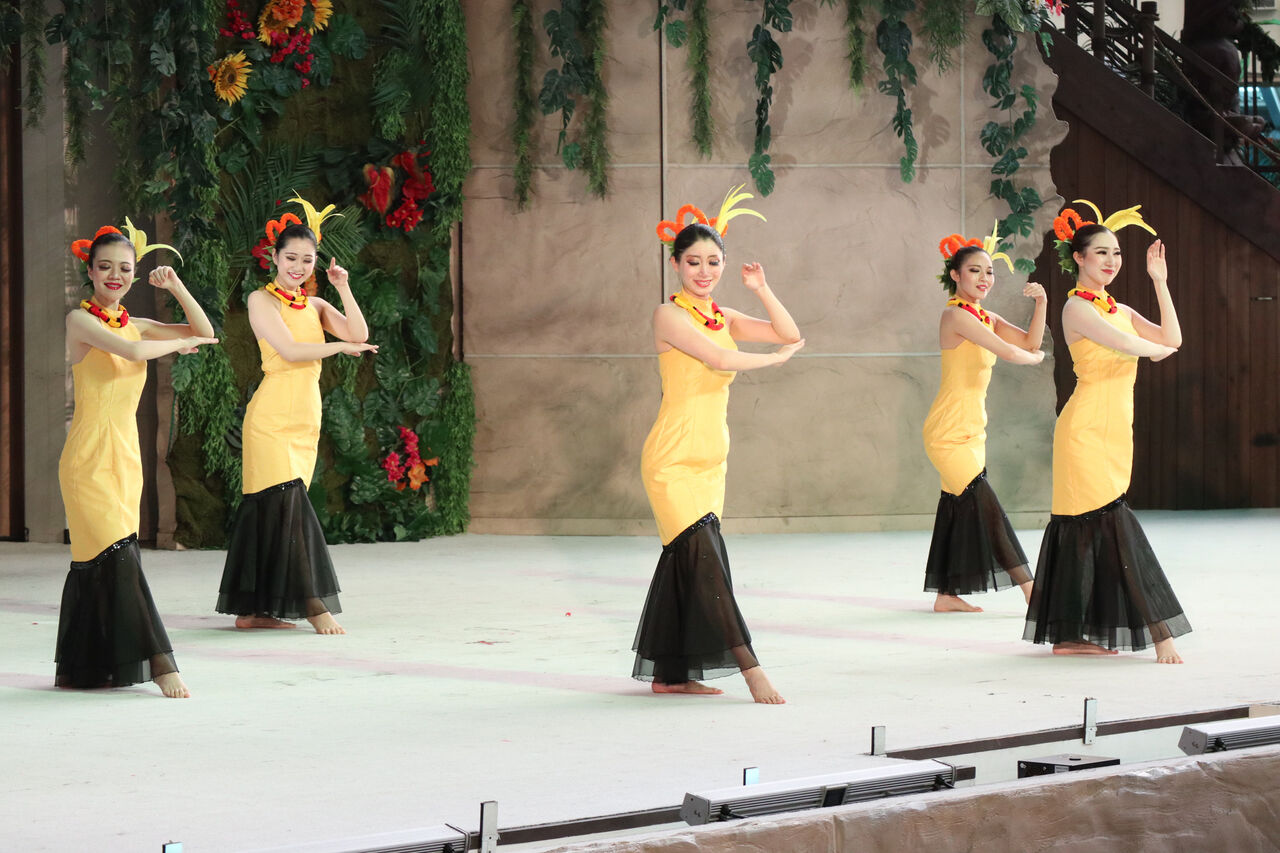 IMG-0022