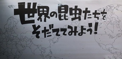 世界地図