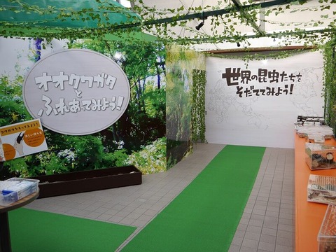 エリア