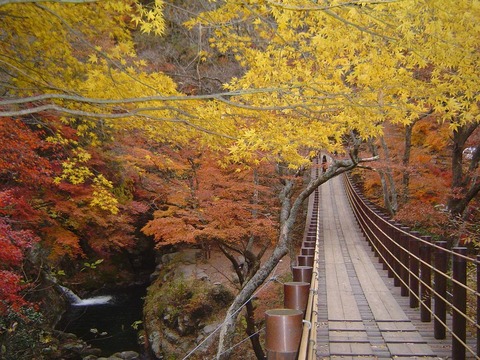 紅葉写真2