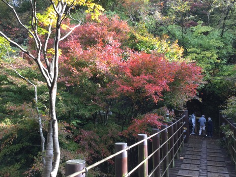 B39D41E5-38D8-4C99-8296-2053FB3B1B91