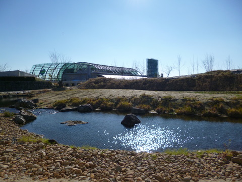 アクアマリン①