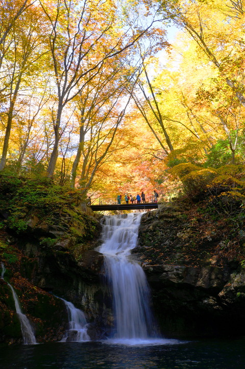 6魚止滝(あだたら渓谷奥岳自然遊歩道）
