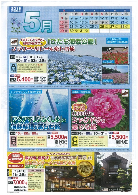 周遊5月チラシ