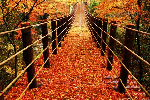 花貫渓谷紅吊り橋