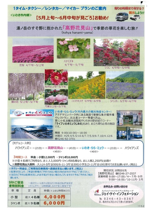 高野花見山5-6月