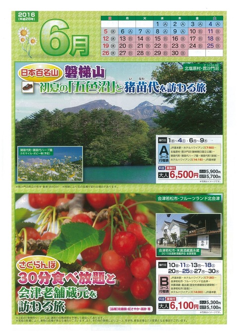 周遊6月チラシ