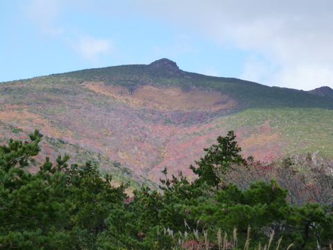 P1000793