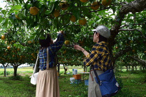 梨狩りview_image[2]