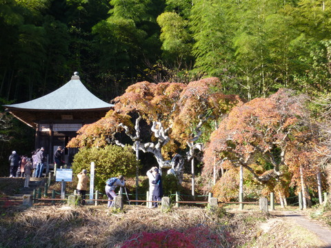 28②