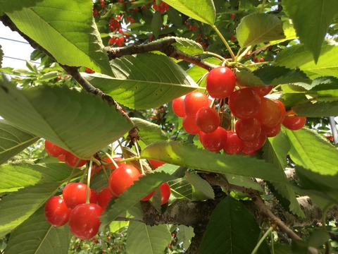 C0D87C8B-467F-4DFD-B251-58971ED79863