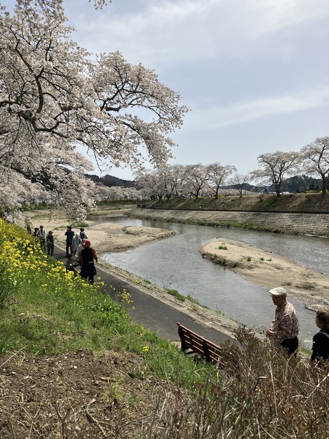 夏井