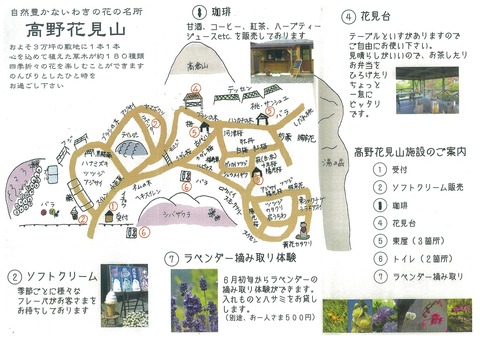 高野花見山園内Map