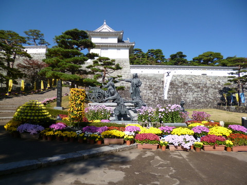 P1000952