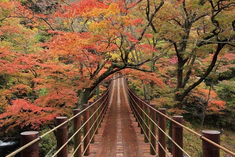 花貫渓谷紅葉１