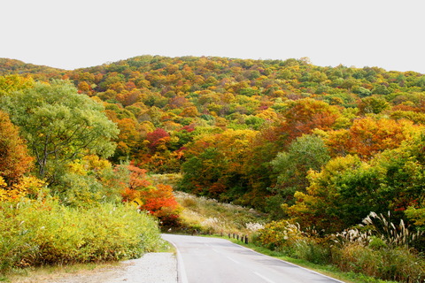 磐梯ゴールドライン紅葉(10月)