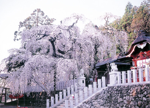 小川諏訪