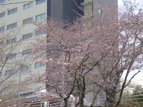 P1010355