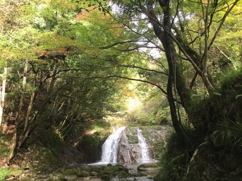 EC342B9B-6402-41C6-927E-1591C3086611