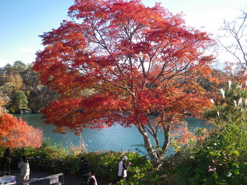 10月B五色沼 紅葉