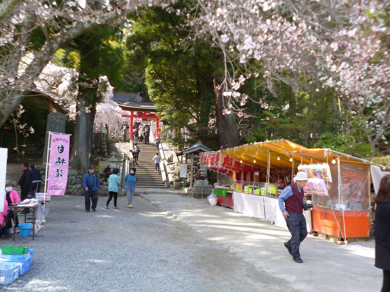 小川諏訪神社の桜 オプショナルツアー 四季旅物語 小川諏訪神社の桜 オプショナルツアー 四季旅物語
