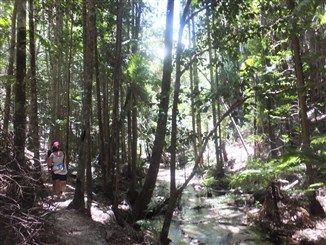フレーザー島4