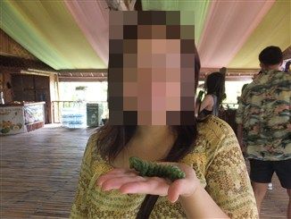 バタフライミュージアム3