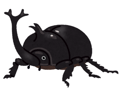 bug_kabutomushi_osu_black