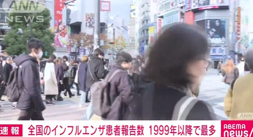 スクリーンショット 2025-01-09 201530