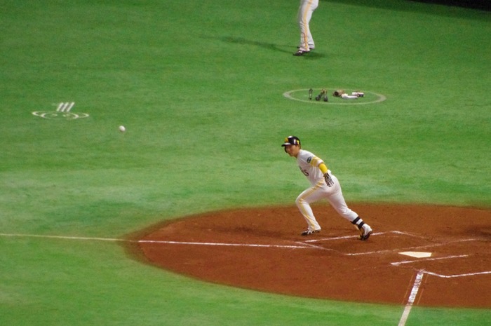 IMGP0166 (1024x680)