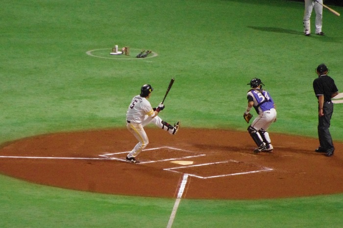 IMGP0312 (1024x680)