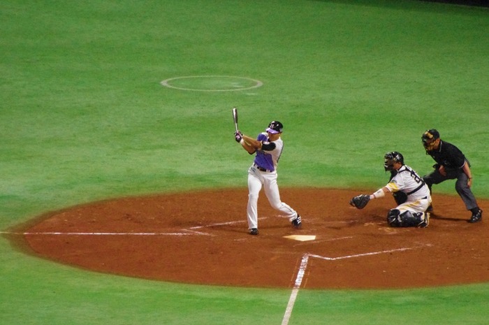 IMGP0218 (1024x680)