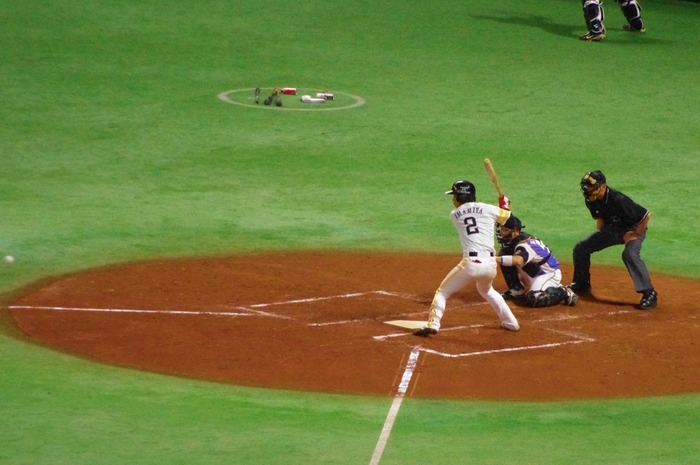 IMGP0169 (1024x680)