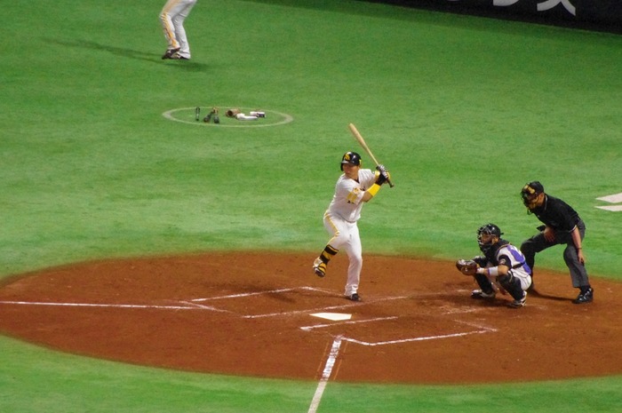 IMGP0161 (1024x680)