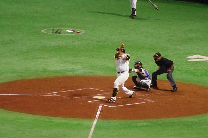 IMGP0126 (1024x680)