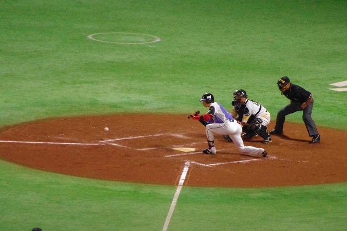 IMGP0369 (1024x680)