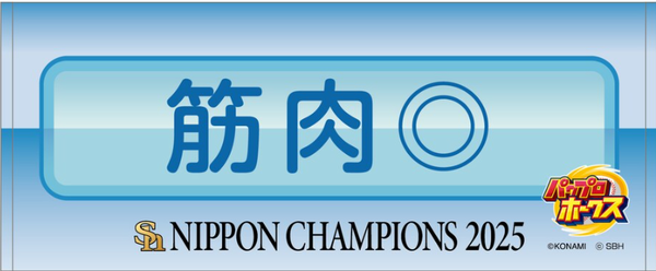 スクリーンショット 2025-11-10 235625