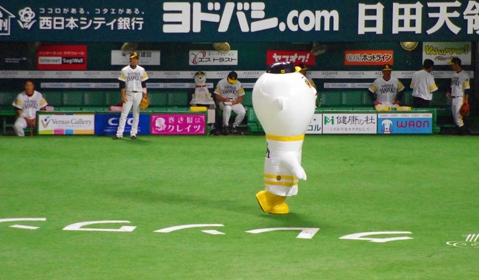 IMGP0289 (1024x599)