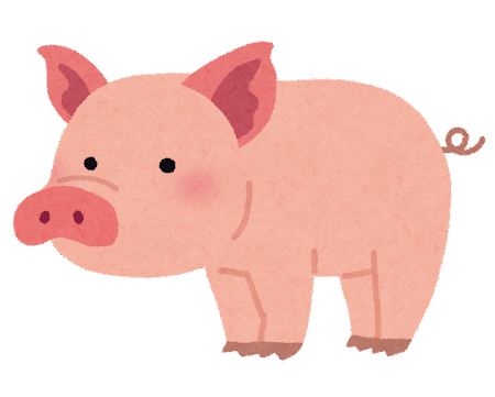 【佐賀報】豚熱感染のため1万頭の豚を処分→埋却地から血液が川に流出