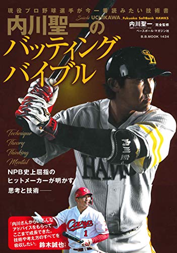 内川聖一と宮﨑敏郎って選手としてどうらが上なん？